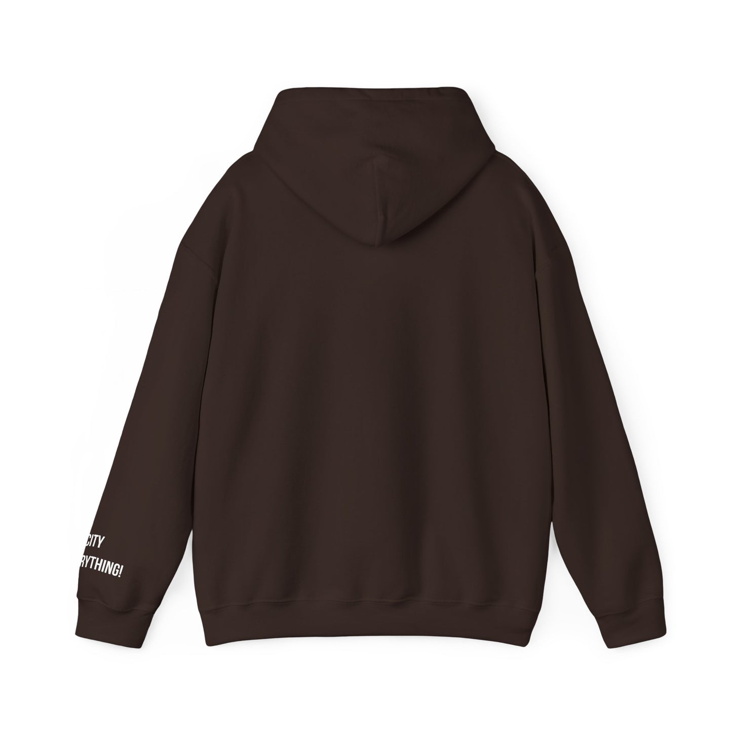 Boston Hoodie – My City Is Everything!