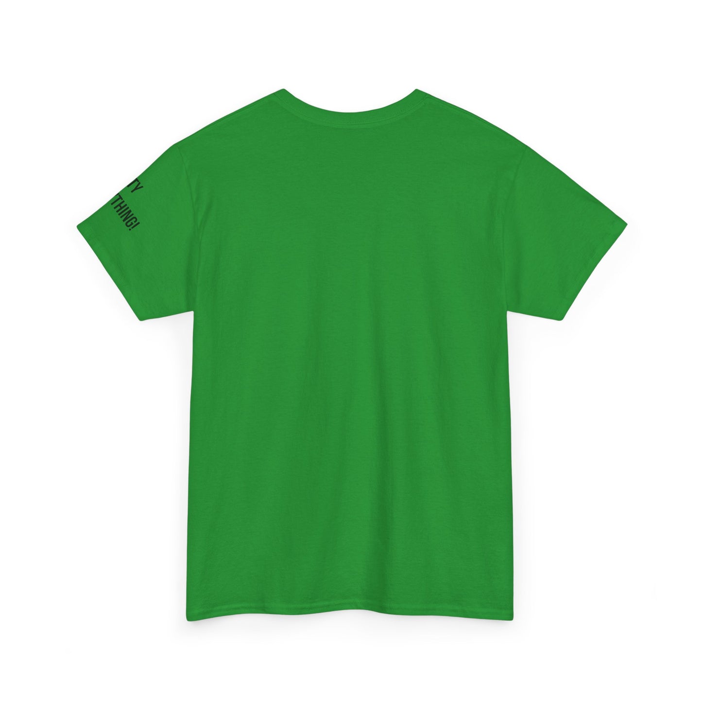 Chicago My City is Everything T-Shirt – Windy City Pride Tee