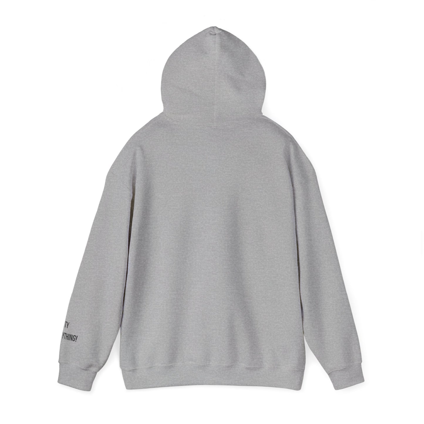 I Love My Yankees Pigeon Hoodie – Streetwise Urban Drop by My City Is Everything!