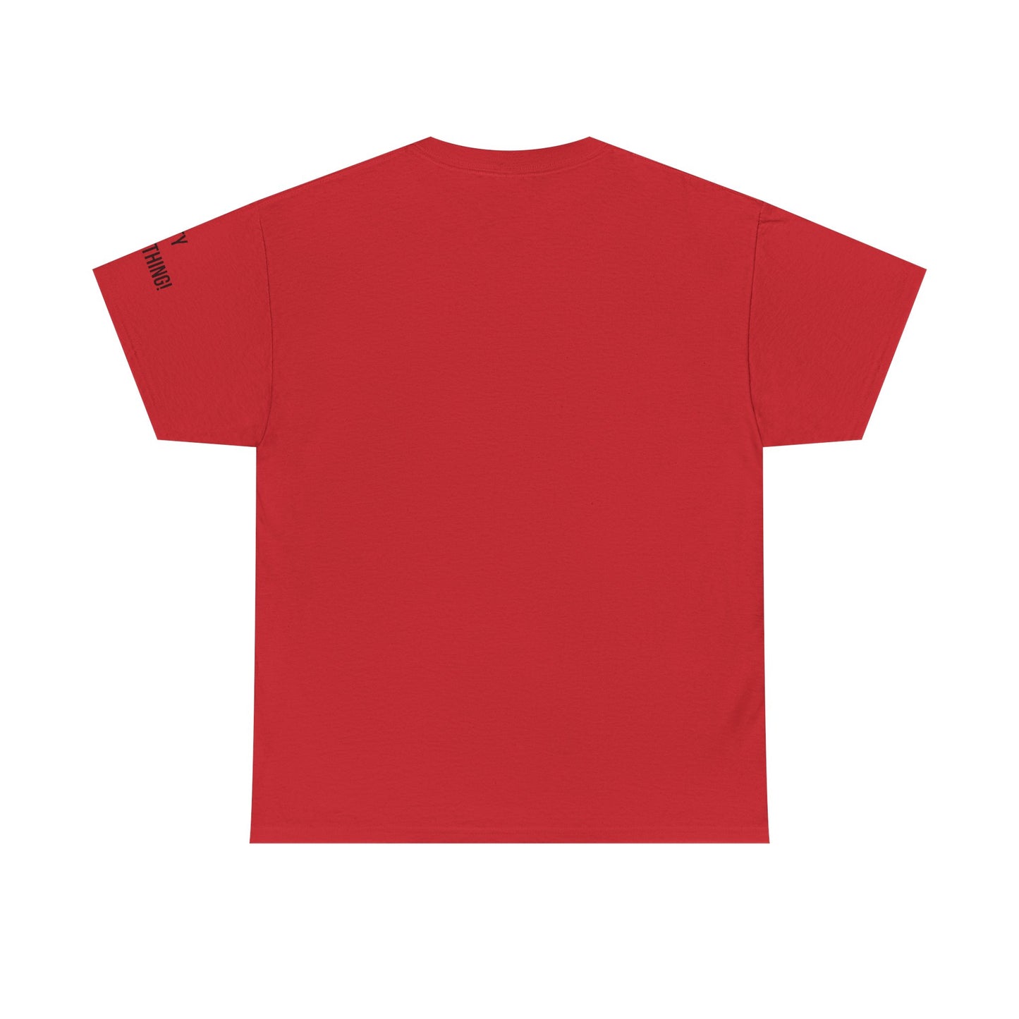 Chicago My City is Everything T-Shirt – Windy City Pride Tee
