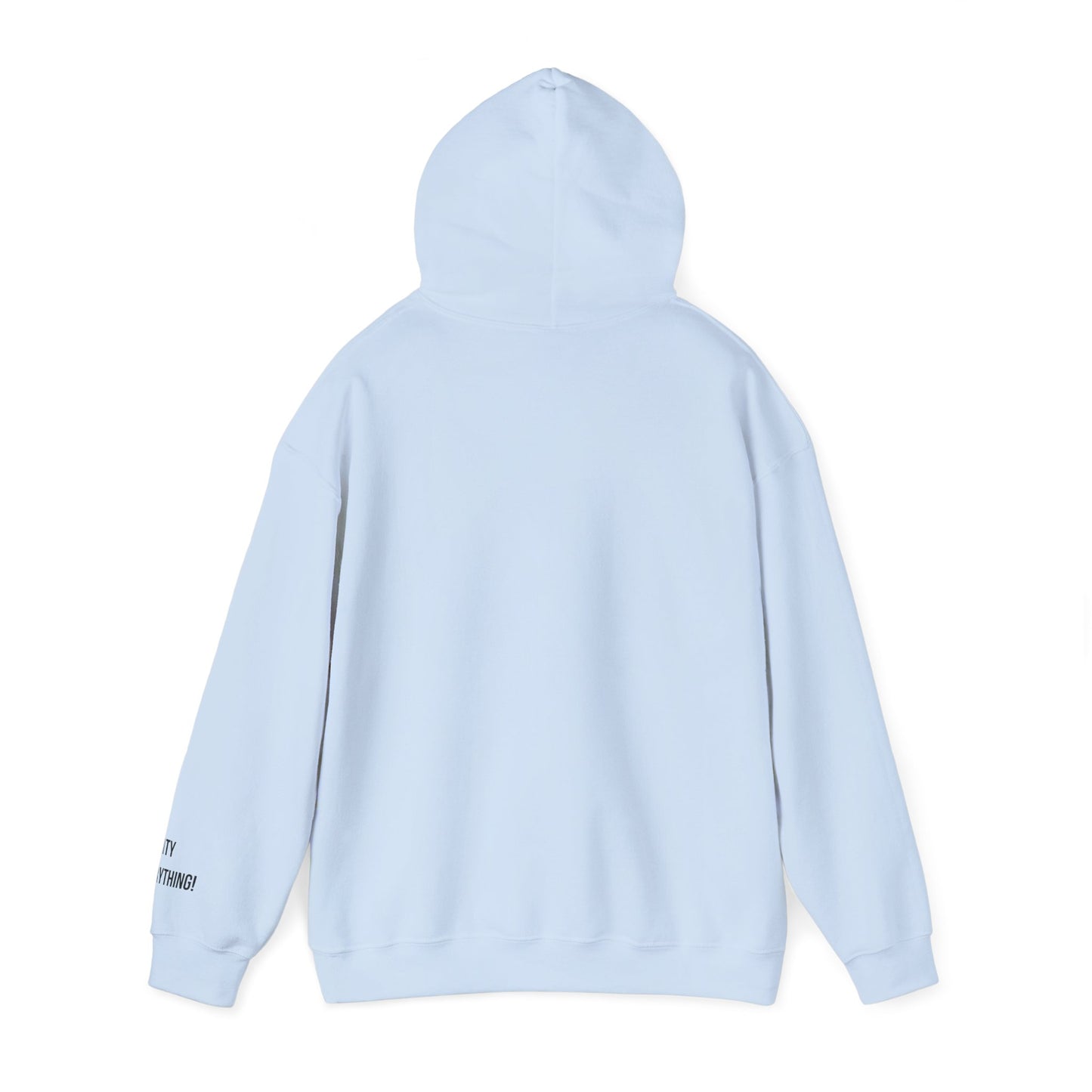Brooklyn Is Everything! Hoodie – Vintage IG Logo Remix | My City Is Everything!