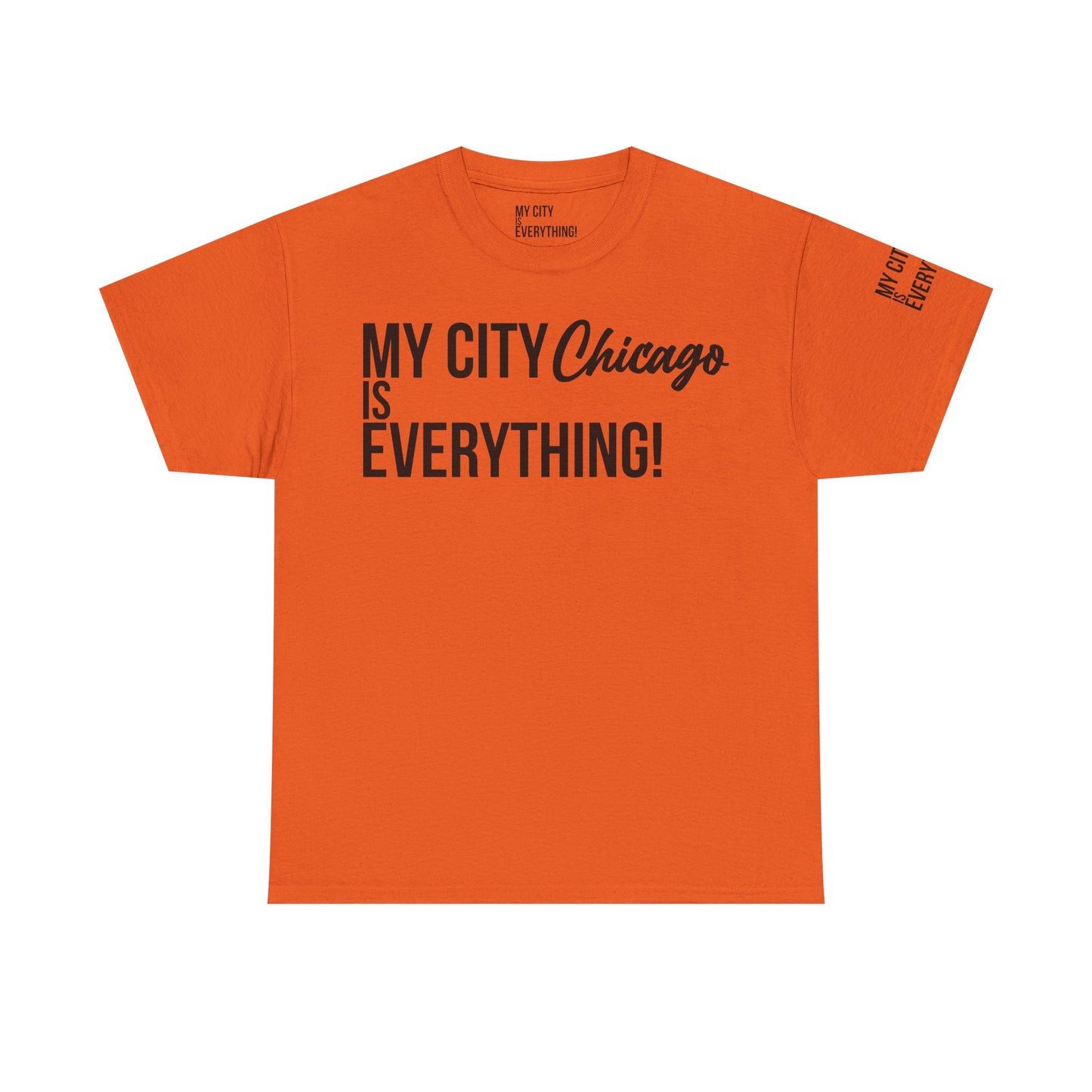 Chicago My City is Everything T-Shirt – Windy City Pride Tee