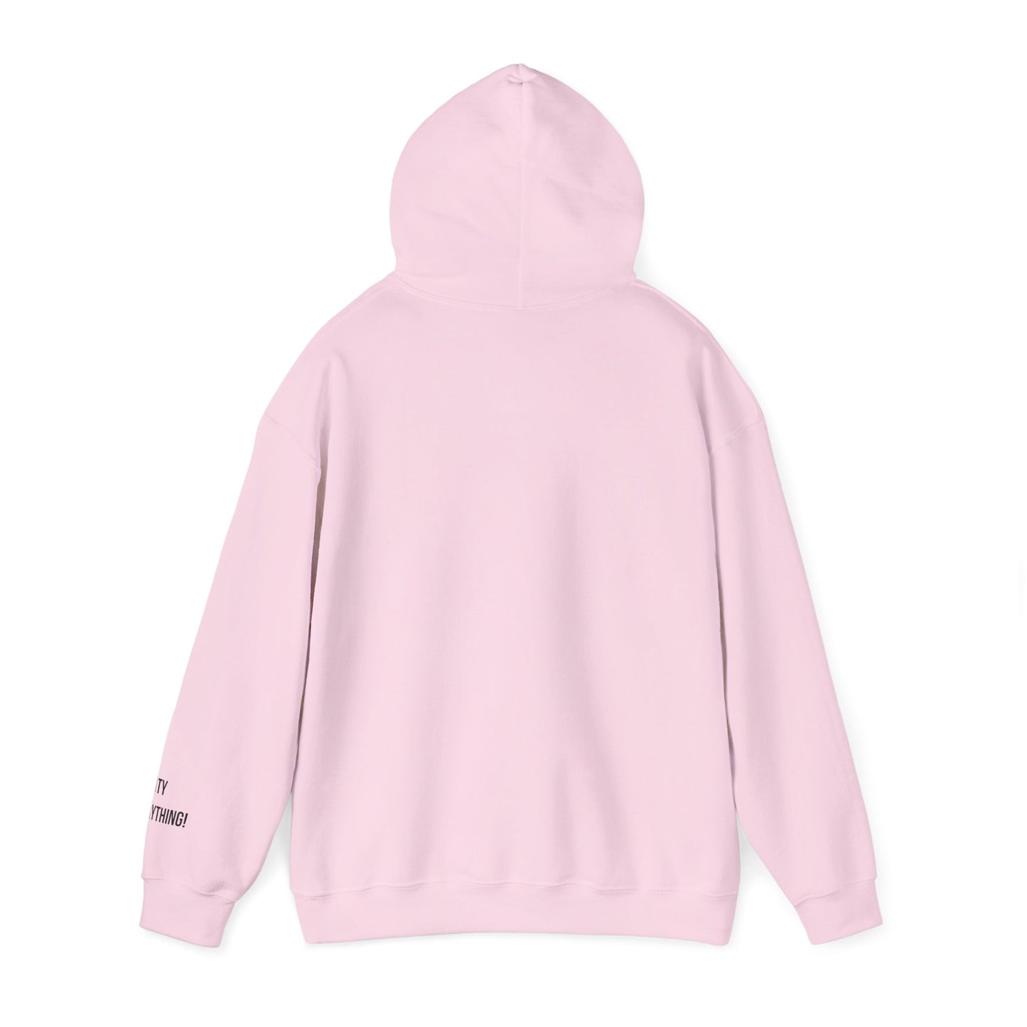 I Love My Yankees Pigeon Hoodie – Streetwise Urban Drop by My City Is Everything!