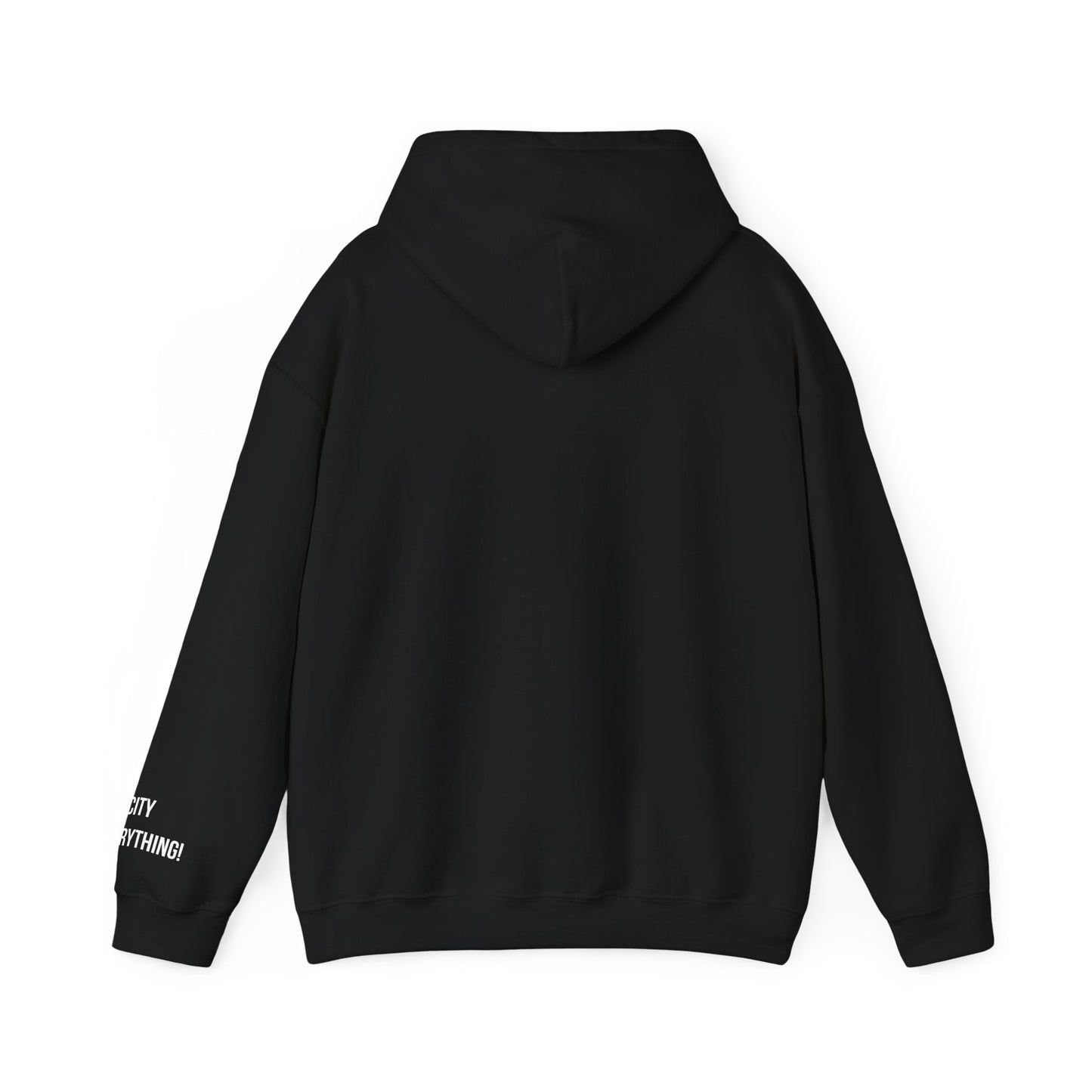 Boston Hoodie – My City Is Everything!