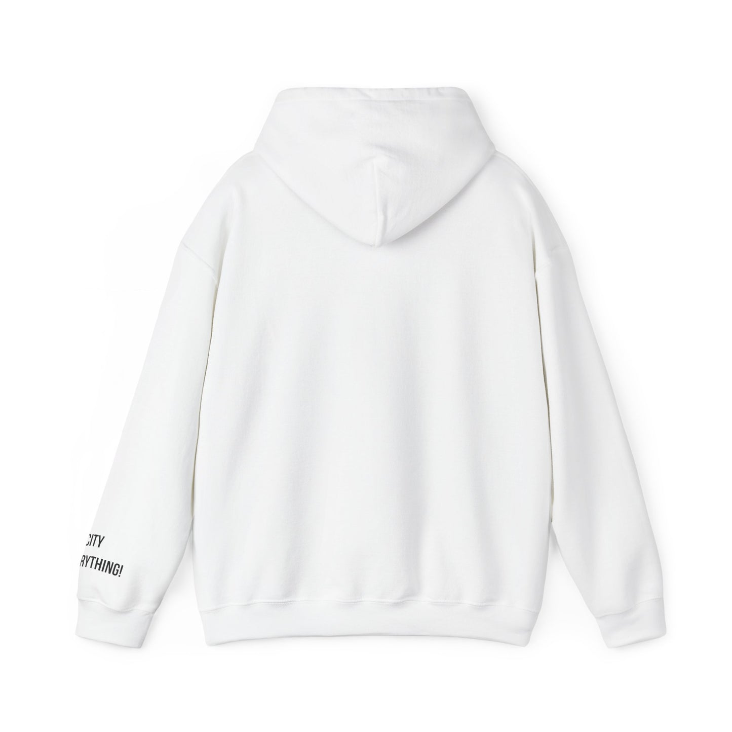 Brooklyn Is Everything! Hoodie – Vintage IG Logo Remix | My City Is Everything!