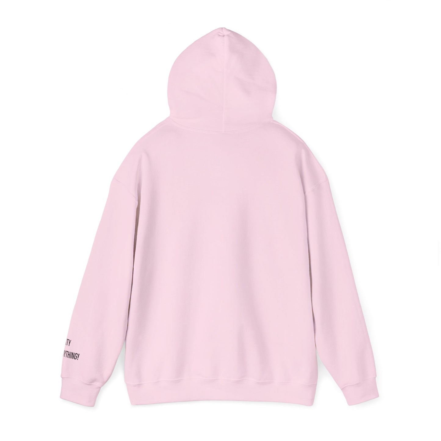 Brooklyn Is Everything! Hoodie – Vintage IG Logo Remix | My City Is Everything!