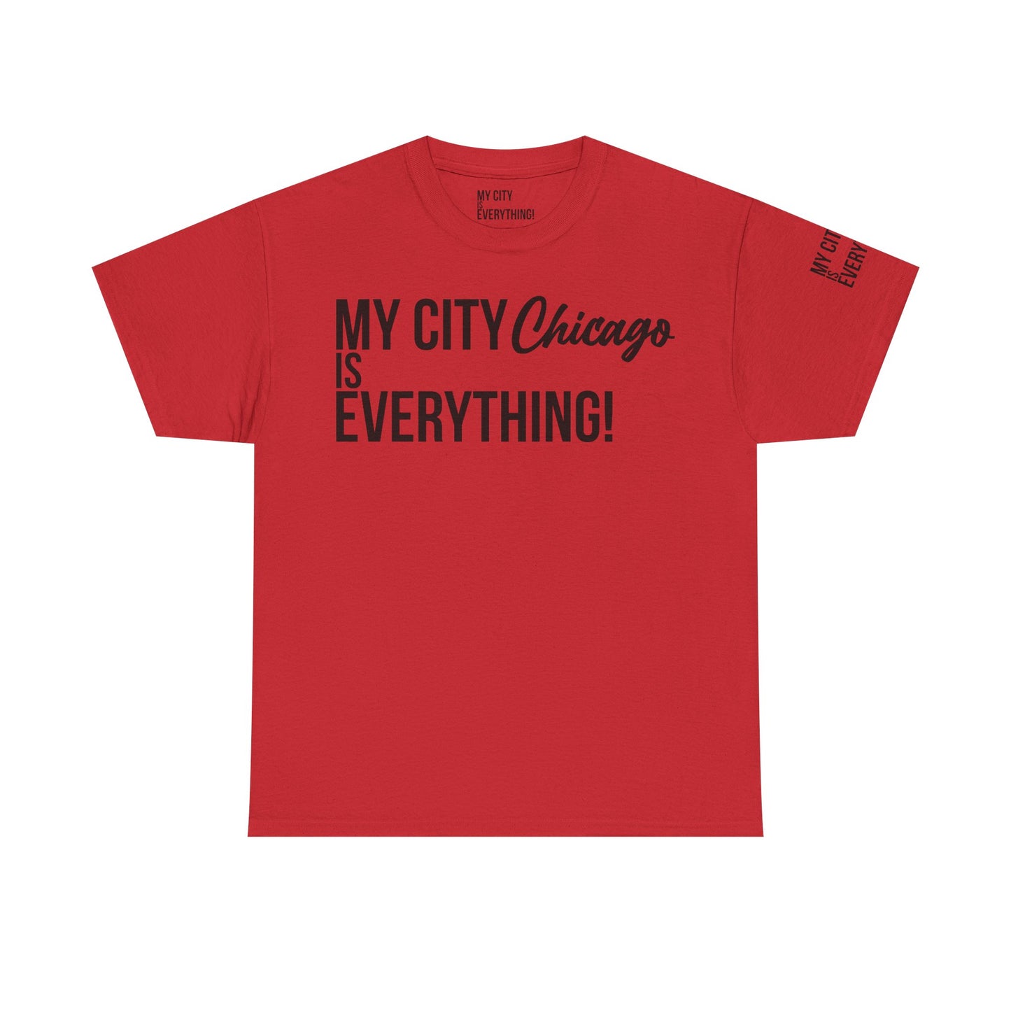 Chicago My City is Everything T-Shirt – Windy City Pride Tee