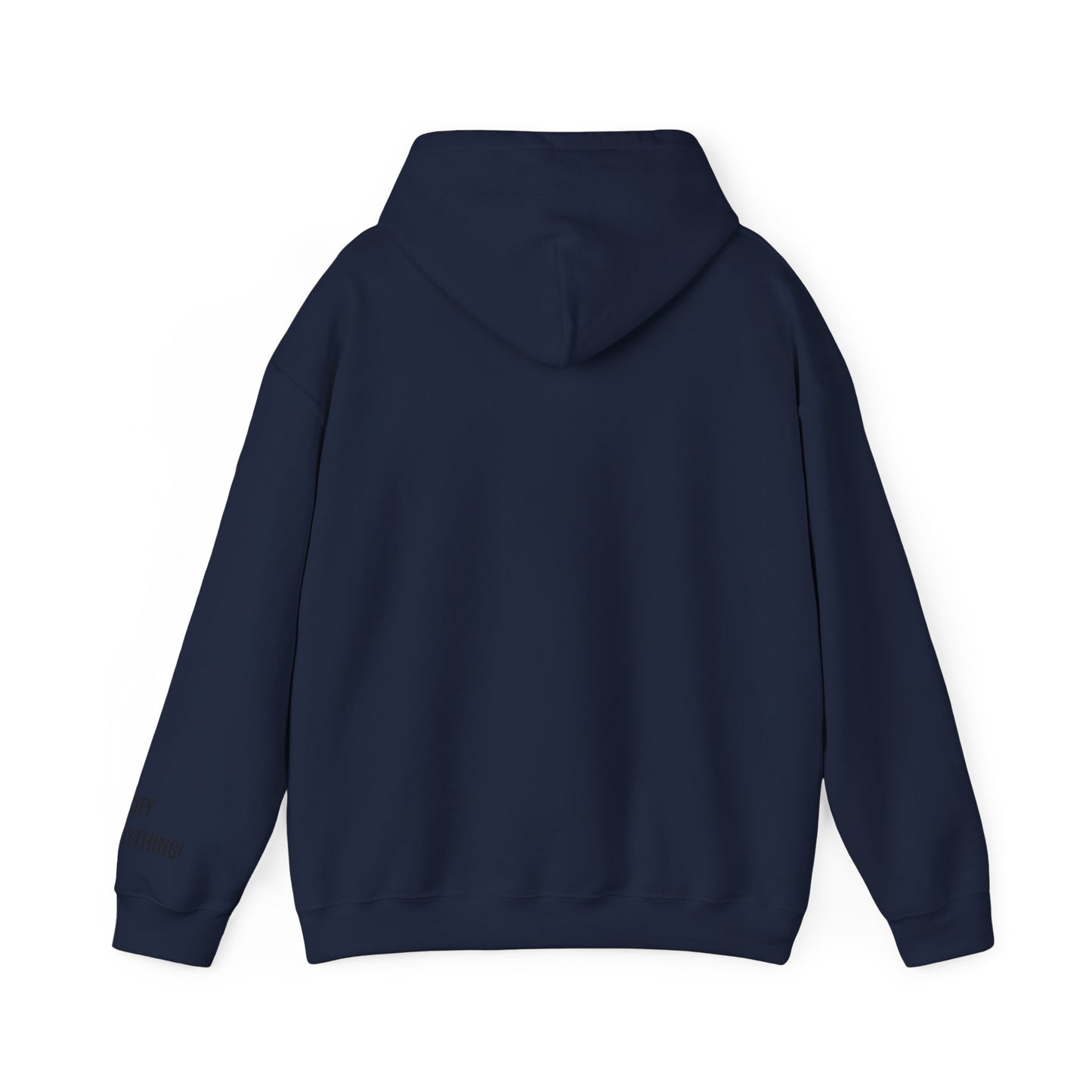 I ❤️ My City Mets Pigeon Hoodie – Blue Cap Edition | My City Is Everything!