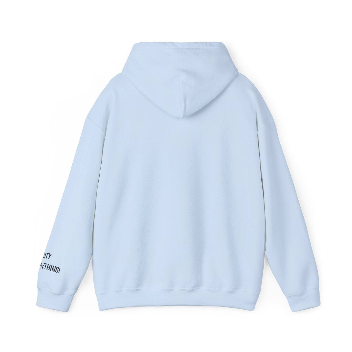 I Love My Yankees Pigeon Hoodie – Streetwise Urban Drop by My City Is Everything!
