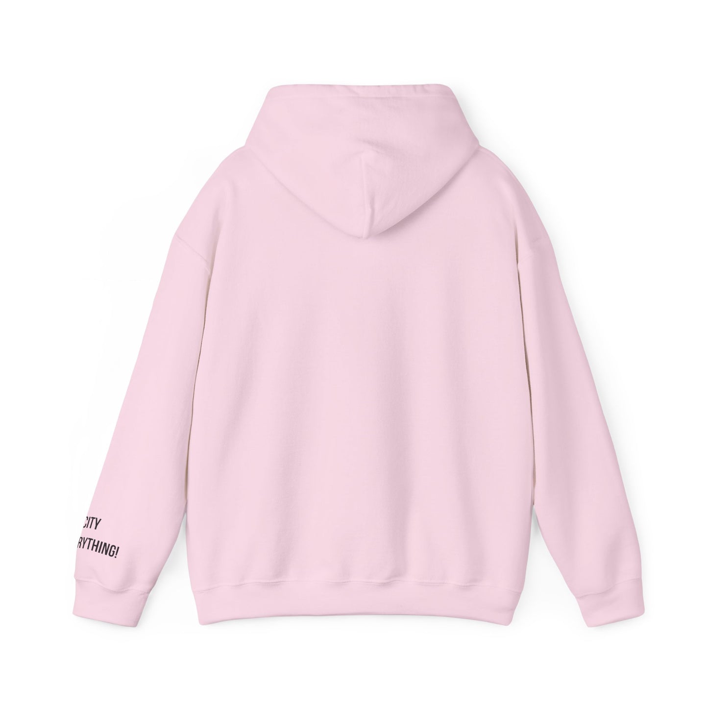 Brooklyn Is Everything! Hoodie – Vintage IG Logo Remix | My City Is Everything!
