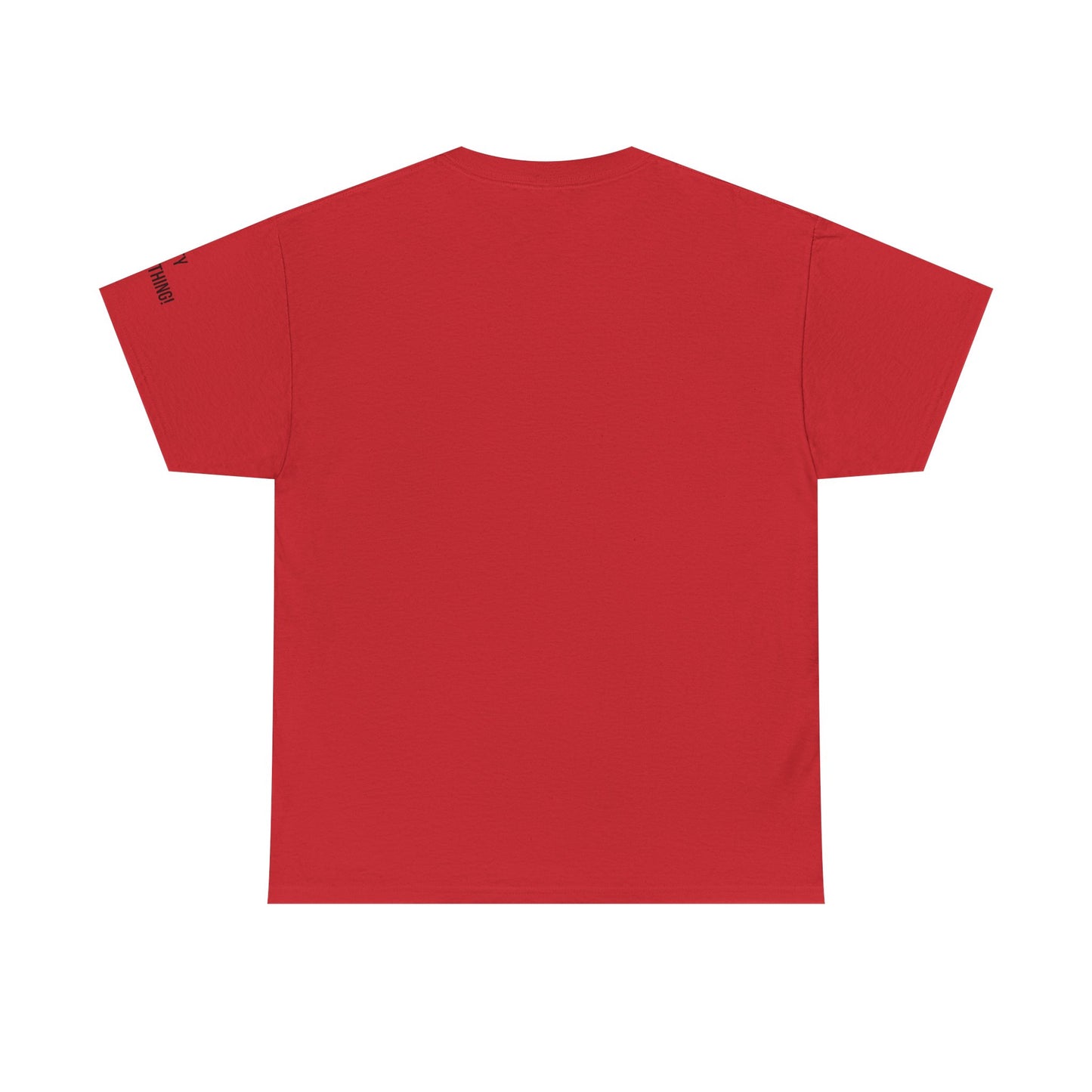 Ben Franklin Yankee Hat Tee – All About the Hundreds