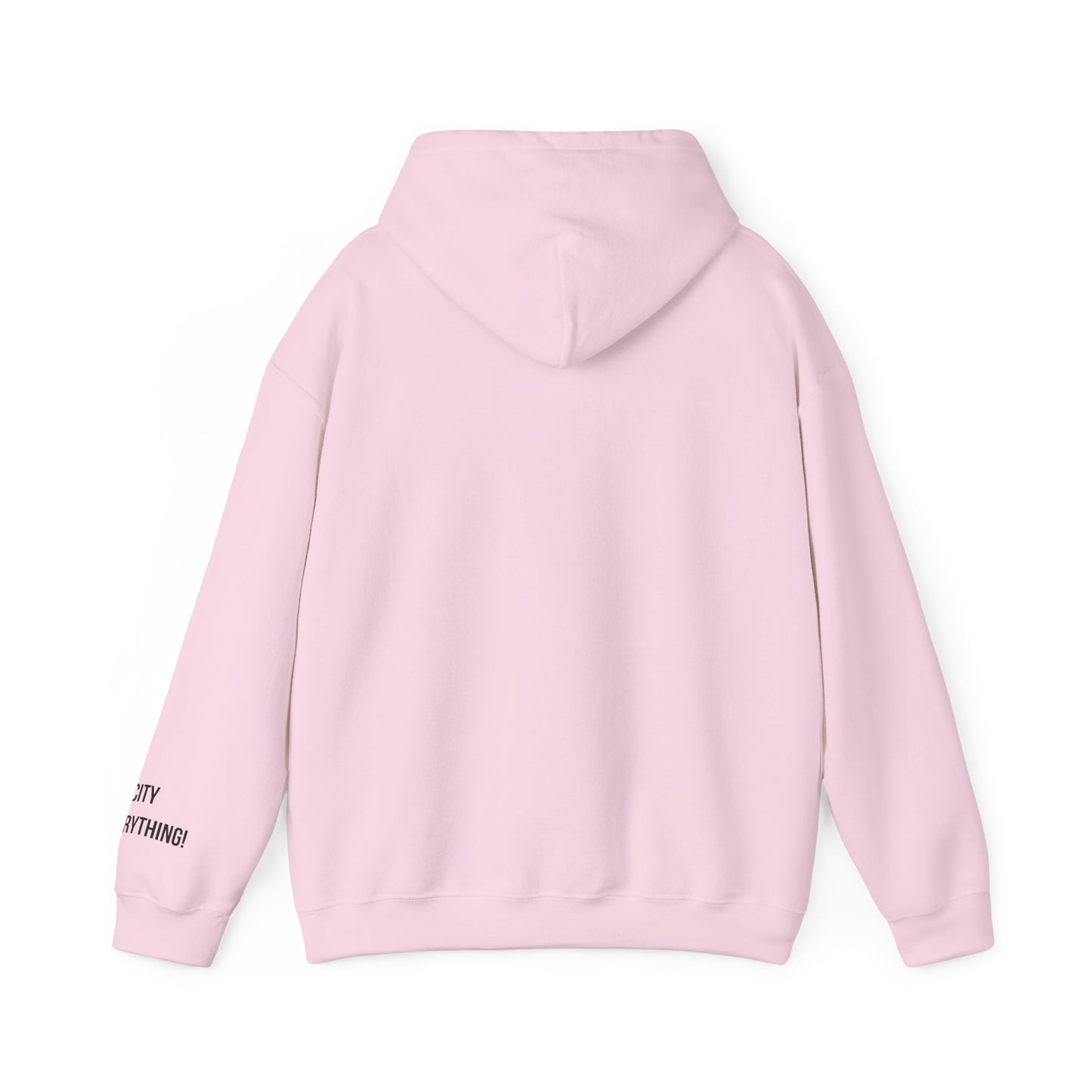 I Love My Yankees Pigeon Hoodie – Streetwise Urban Drop by My City Is Everything!