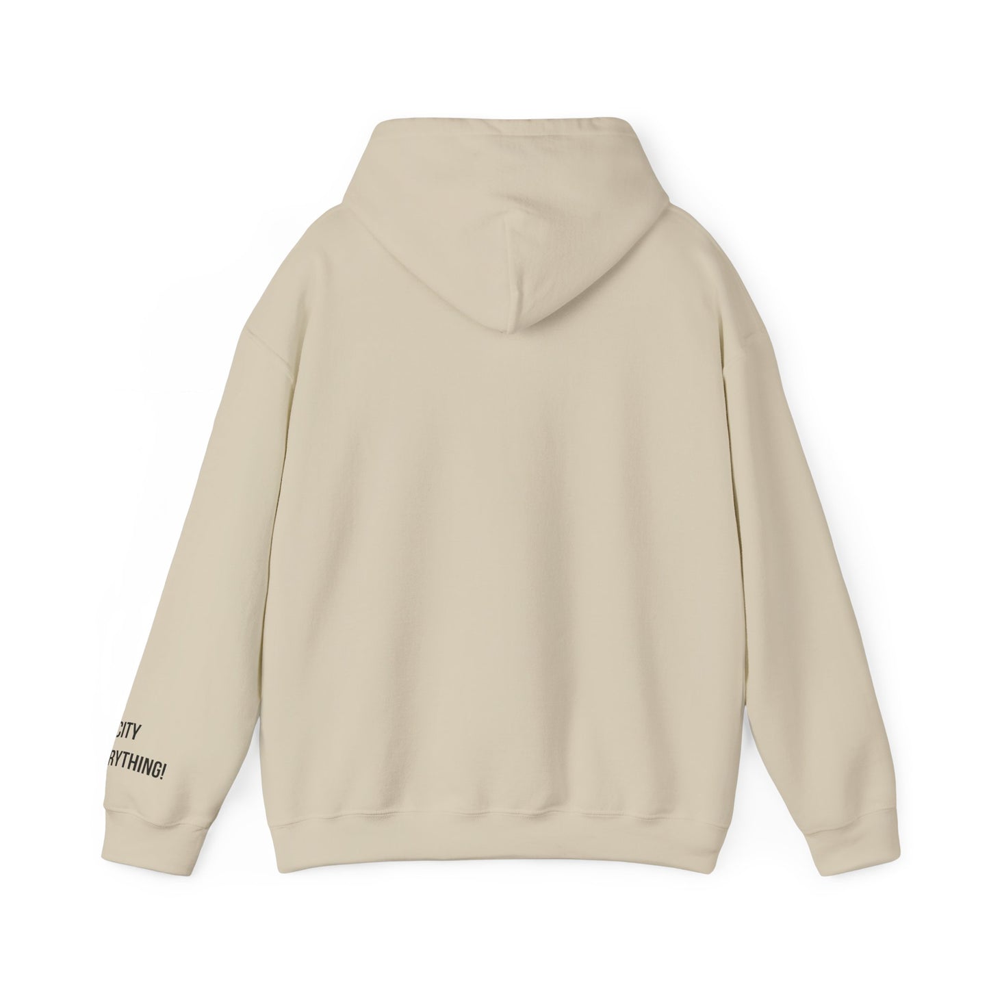 Brooklyn Is Everything! Hoodie – Vintage IG Logo Remix | My City Is Everything!