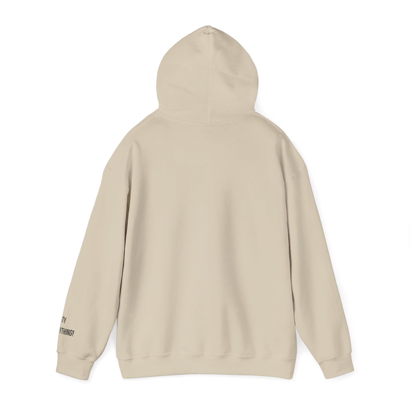 Brooklyn Is Everything! Hoodie – Vintage IG Logo Remix | My City Is Everything!