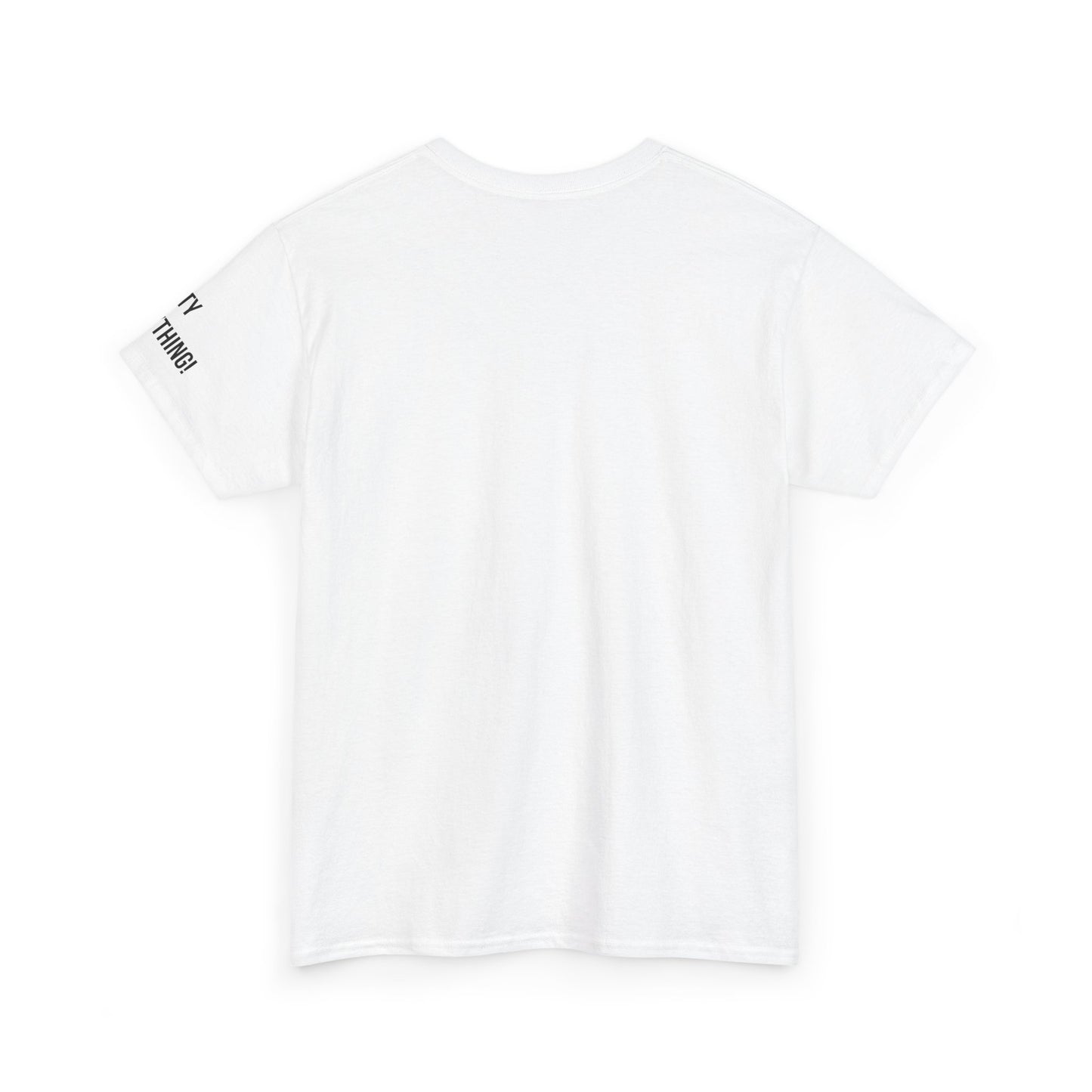 Boston My City is Everything T-Shirt