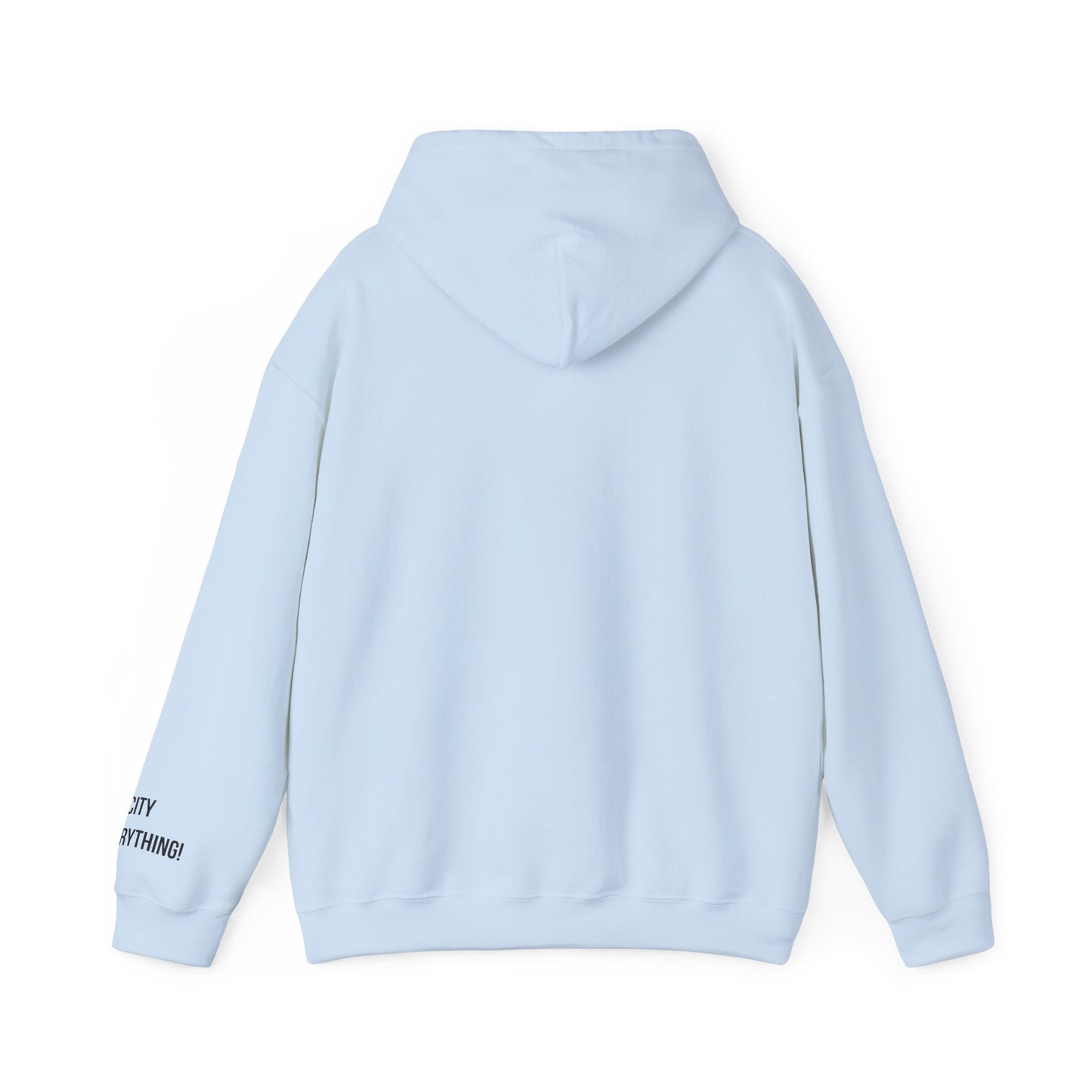 Brooklyn Is Everything! Hoodie – Vintage IG Logo Remix | My City Is Everything!