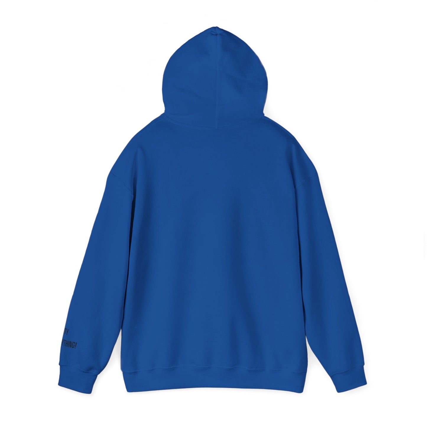 Brooklyn Is Everything! Hoodie – Vintage IG Logo Remix | My City Is Everything!