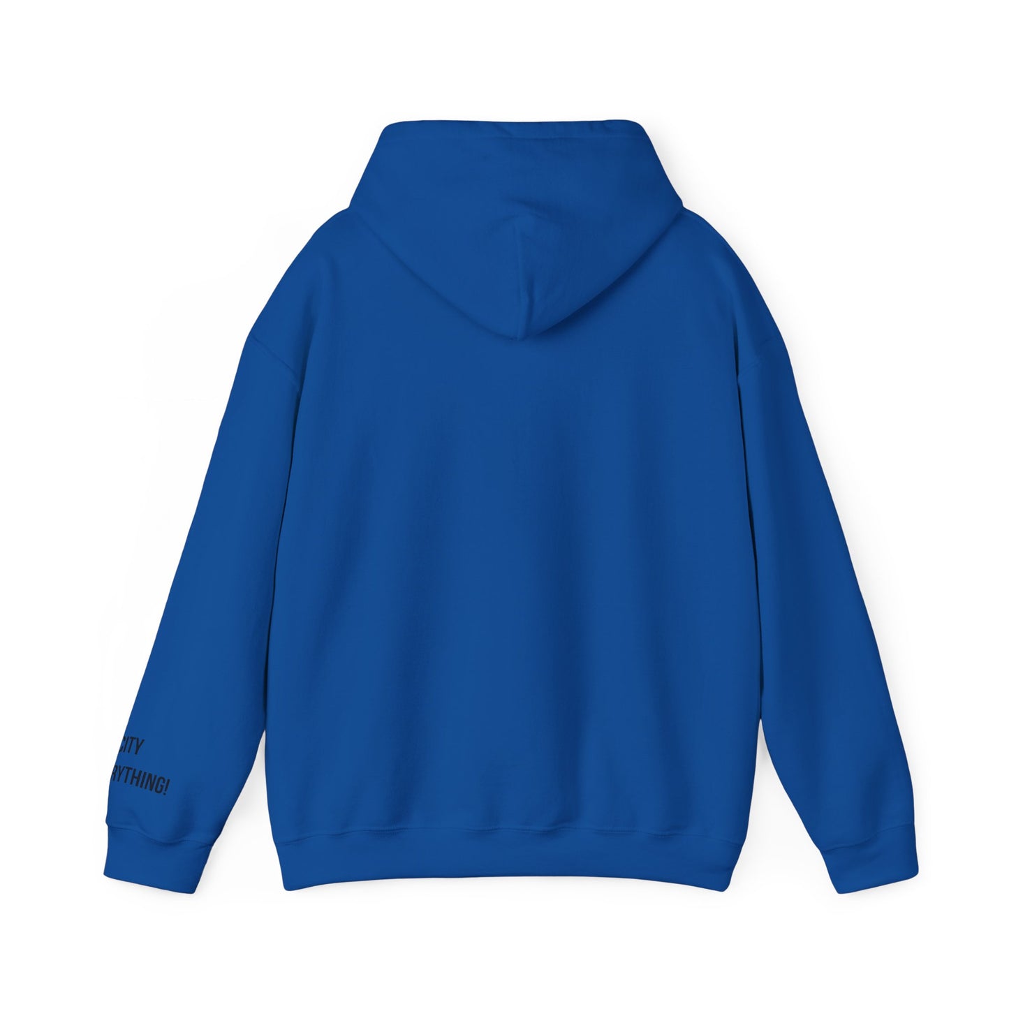 Brooklyn Is Everything! Hoodie – Vintage IG Logo Remix | My City Is Everything!