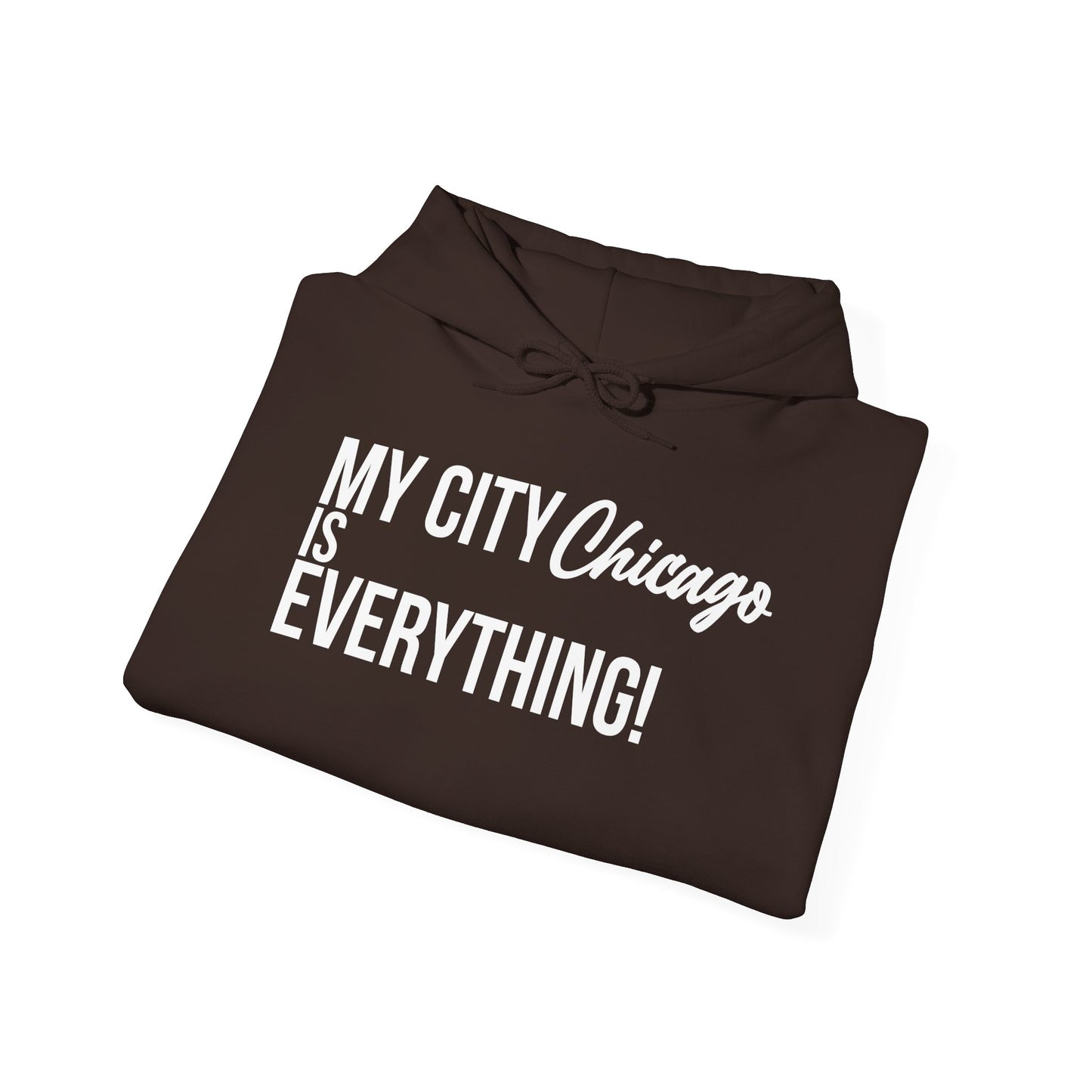 Chicago Hoodie – My City Is Everything!
