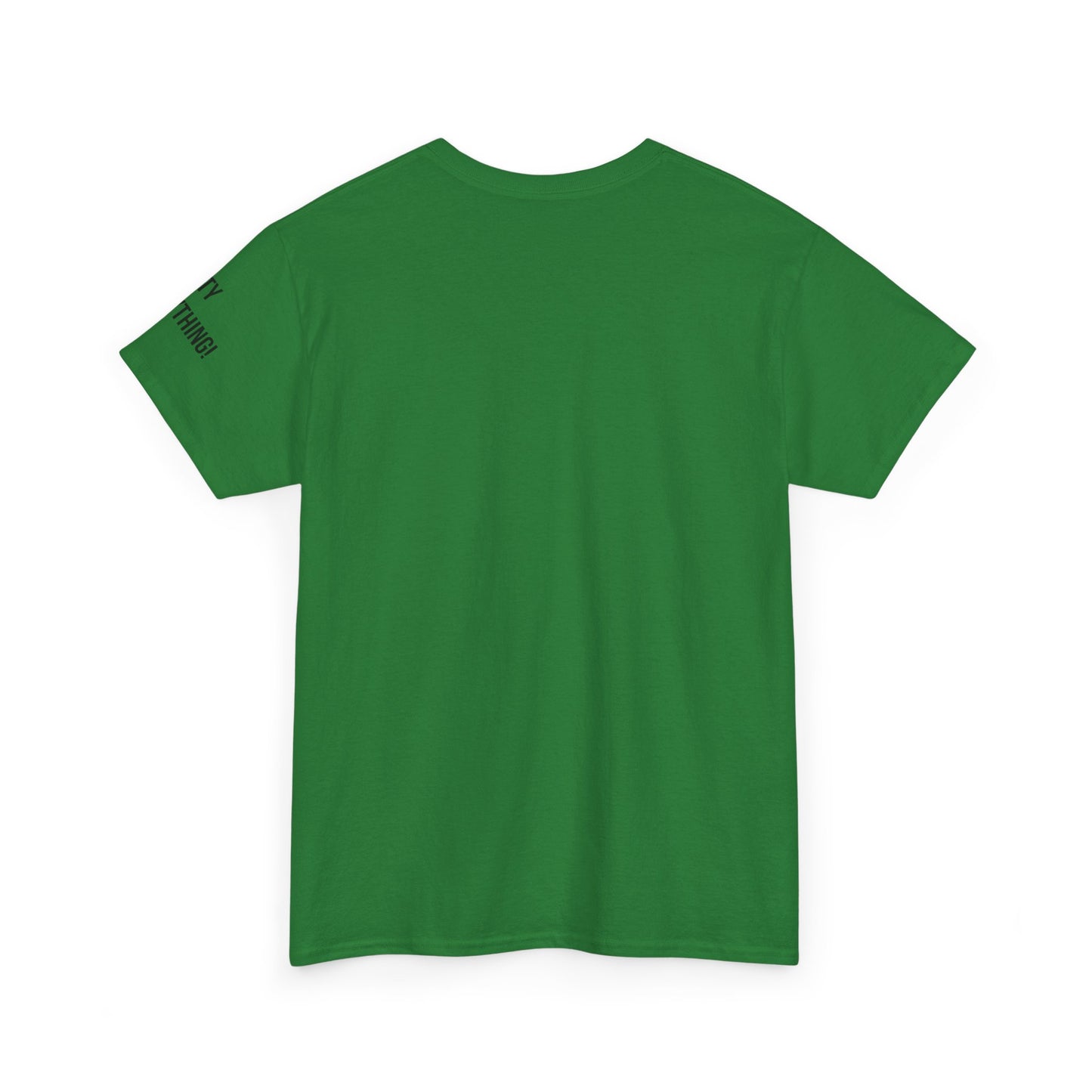 Chicago My City is Everything T-Shirt – Windy City Pride Tee