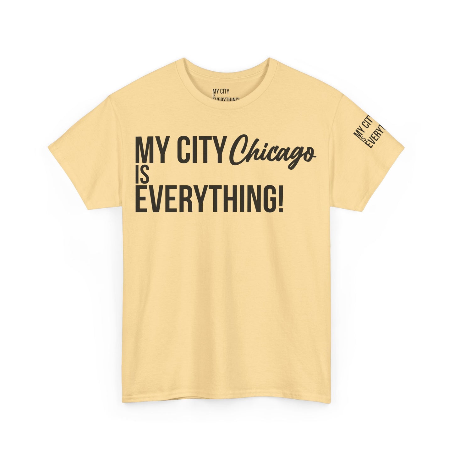 Chicago My City is Everything T-Shirt – Windy City Pride Tee