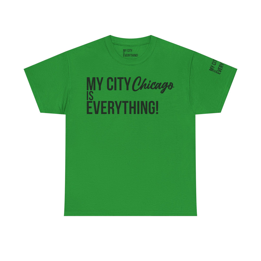 Chicago My City is Everything T-Shirt – Windy City Pride Tee