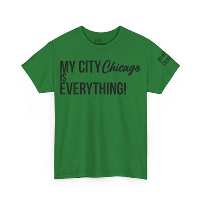 Chicago My City is Everything T-Shirt – Windy City Pride Tee