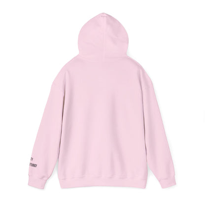 Brooklyn Is Everything! Hoodie – Vintage IG Logo Remix | My City Is Everything!