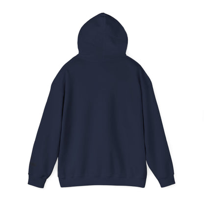 I ❤️ My City Mets Pigeon Hoodie – Blue Cap Edition | My City Is Everything!
