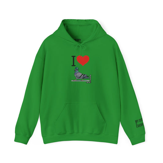 I ❤️ My City Jets Pigeon Hoodie – NYC Streetwear
