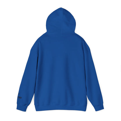 Brooklyn Is Everything! Hoodie – Vintage IG Logo Remix | My City Is Everything!