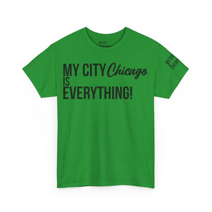 Chicago My City is Everything T-Shirt – Windy City Pride Tee